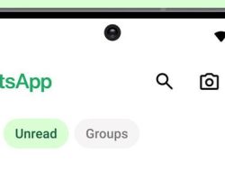 WhatsApp Luncurkan Fitur Filter Chat: Temukan Pesan Penting dengan Cepat!